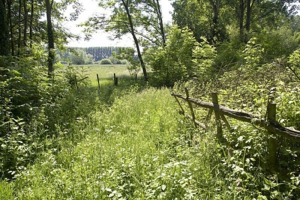 800px-het_nationale_landschap_het_groene_woud_-_haanwijk_-_20429906_-_rce-600×400