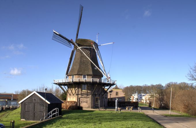 molen